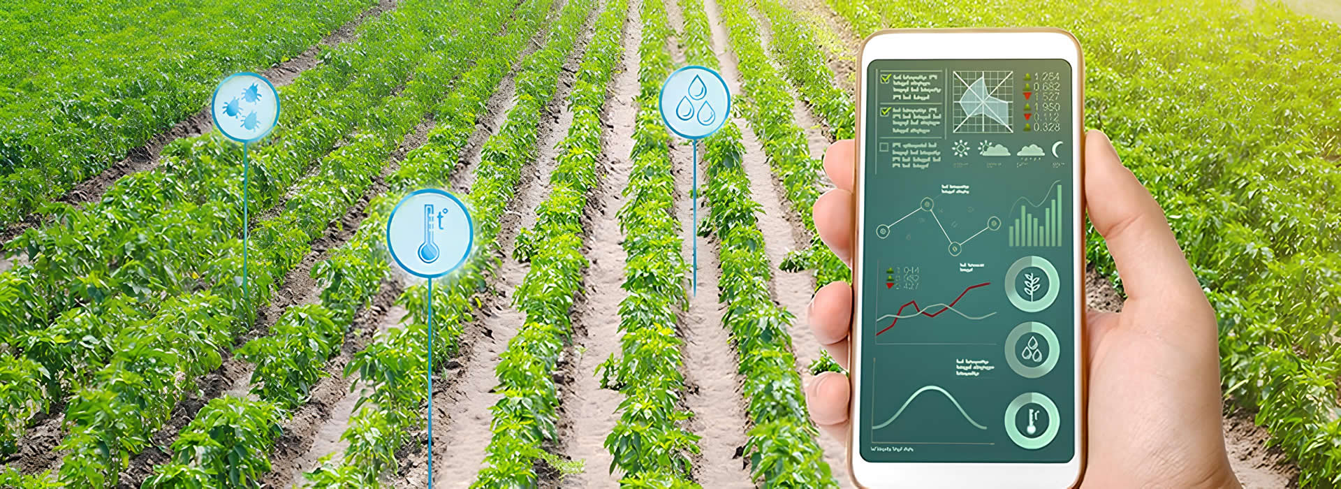 Agropir Tarım Ürünleri | TarxTac Biocept